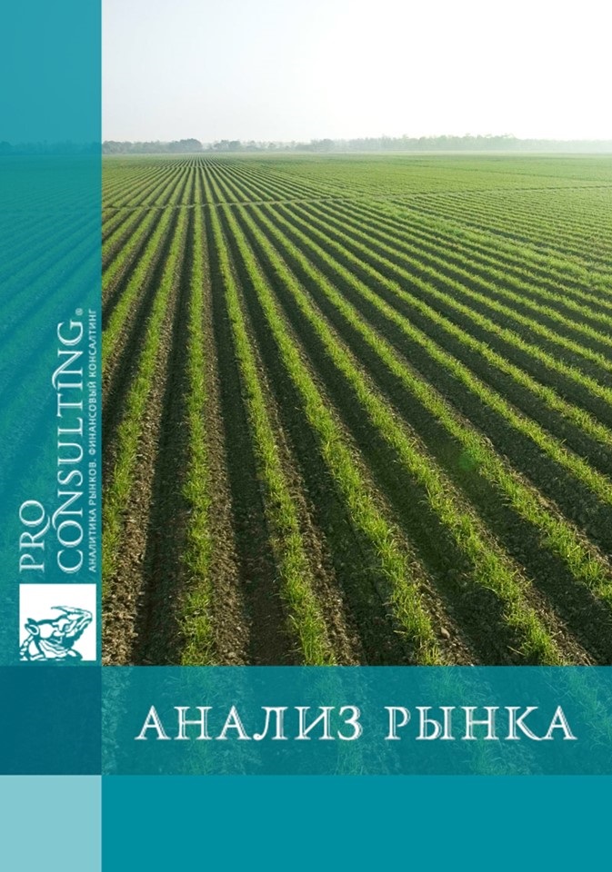 Анализ рынка растениеводства Украины. 2019 год